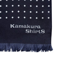 Silk Scarf Blue ADS00129