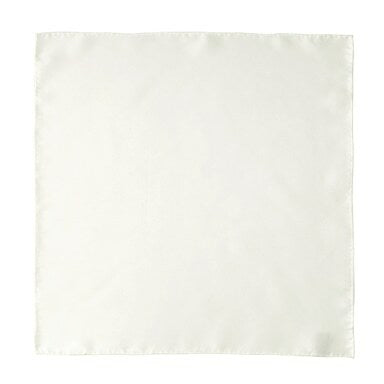Silk Pocket Square WSETA210F