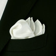 Silk Pocket Square WSETA210F